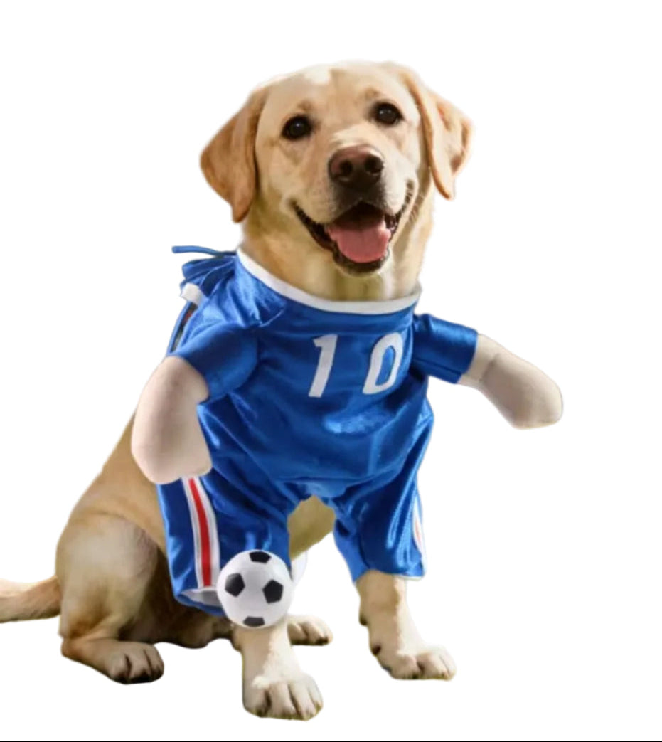 Disfraz de Futbolista