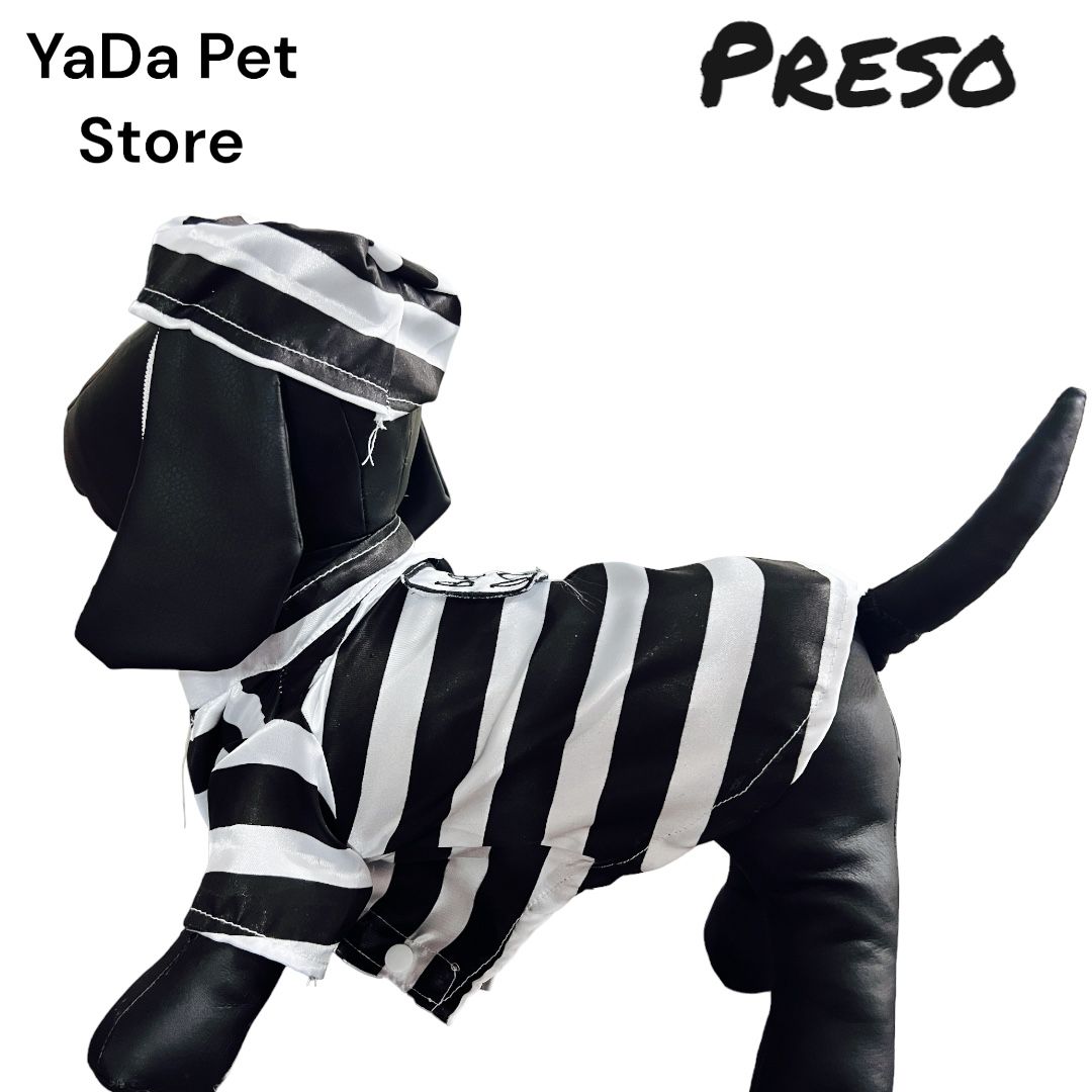 Disfraz de Reo Preso