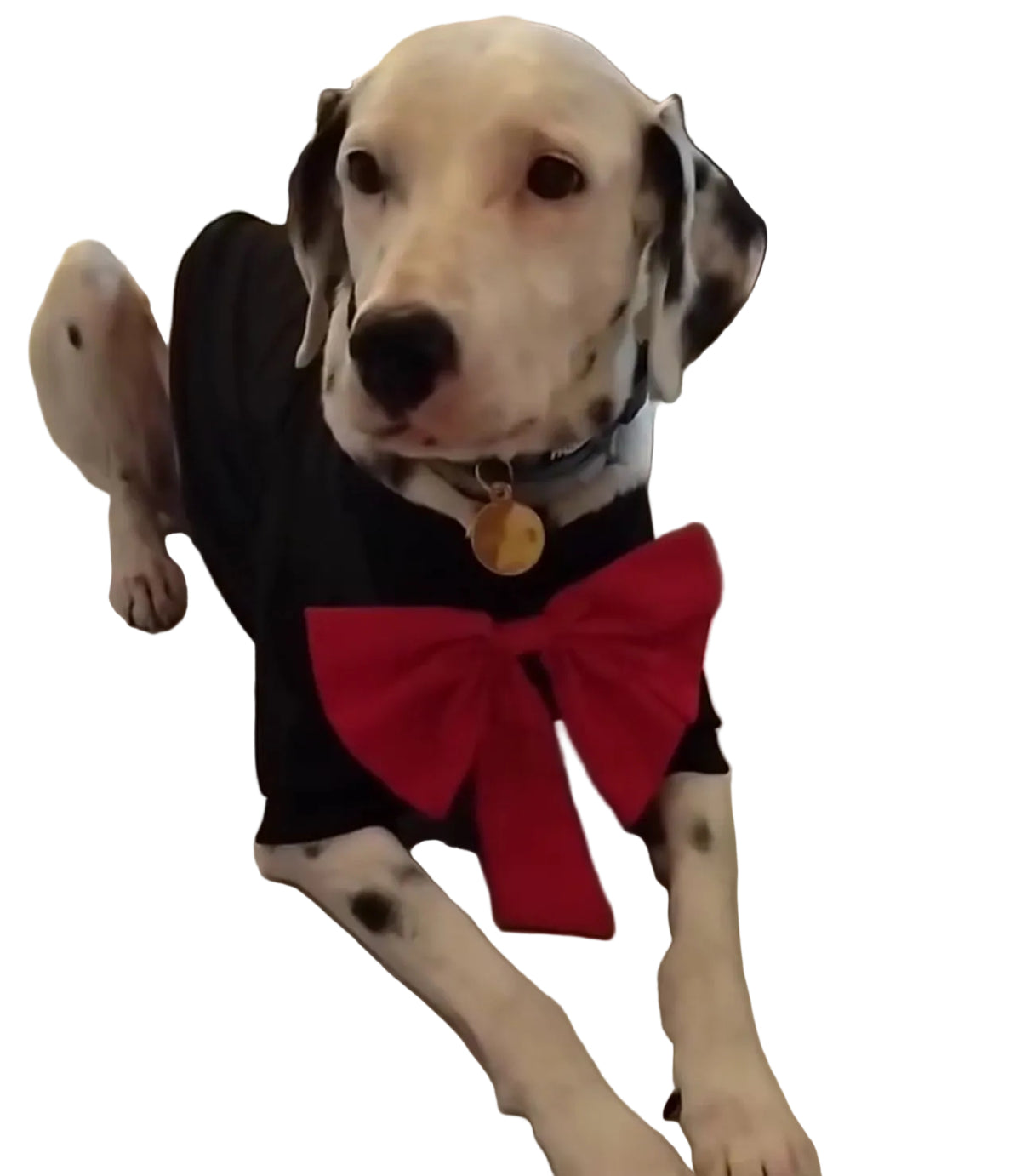 Camiseta elegante