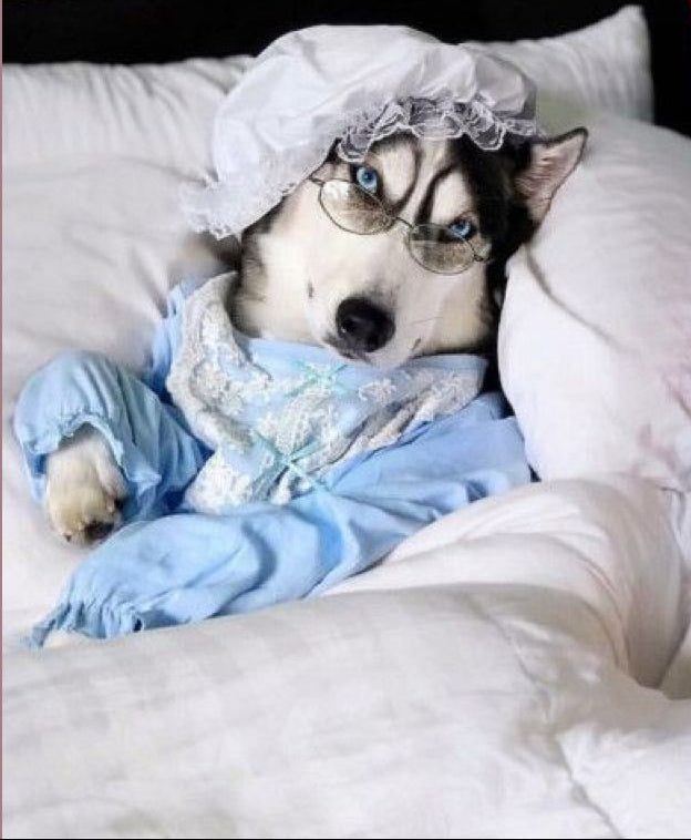 Disfraz de abuelita caperucita