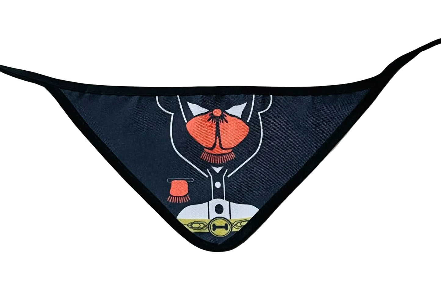 Paliacate de mariachi para mascota