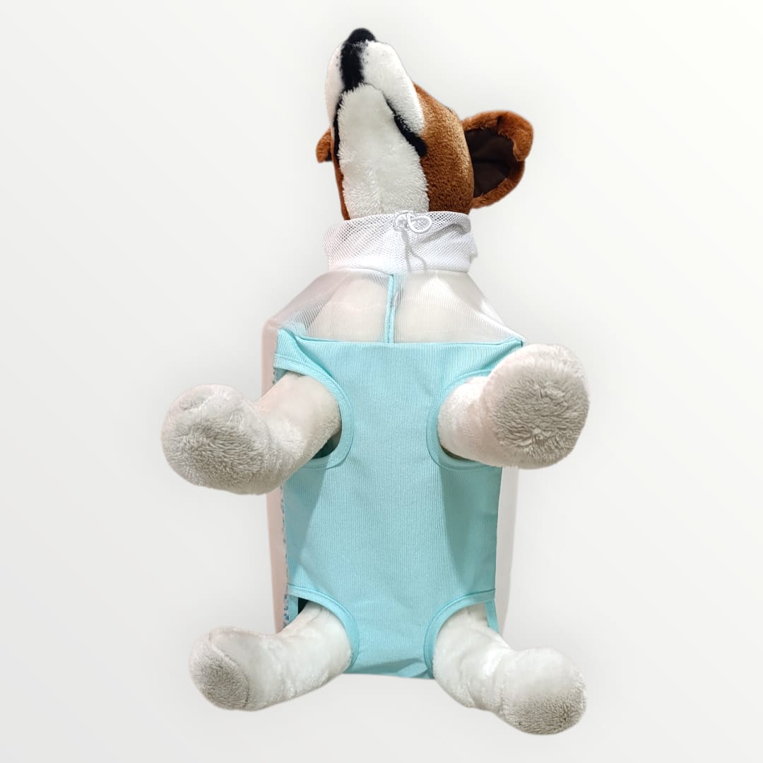 Bolso transportador de gato y perro