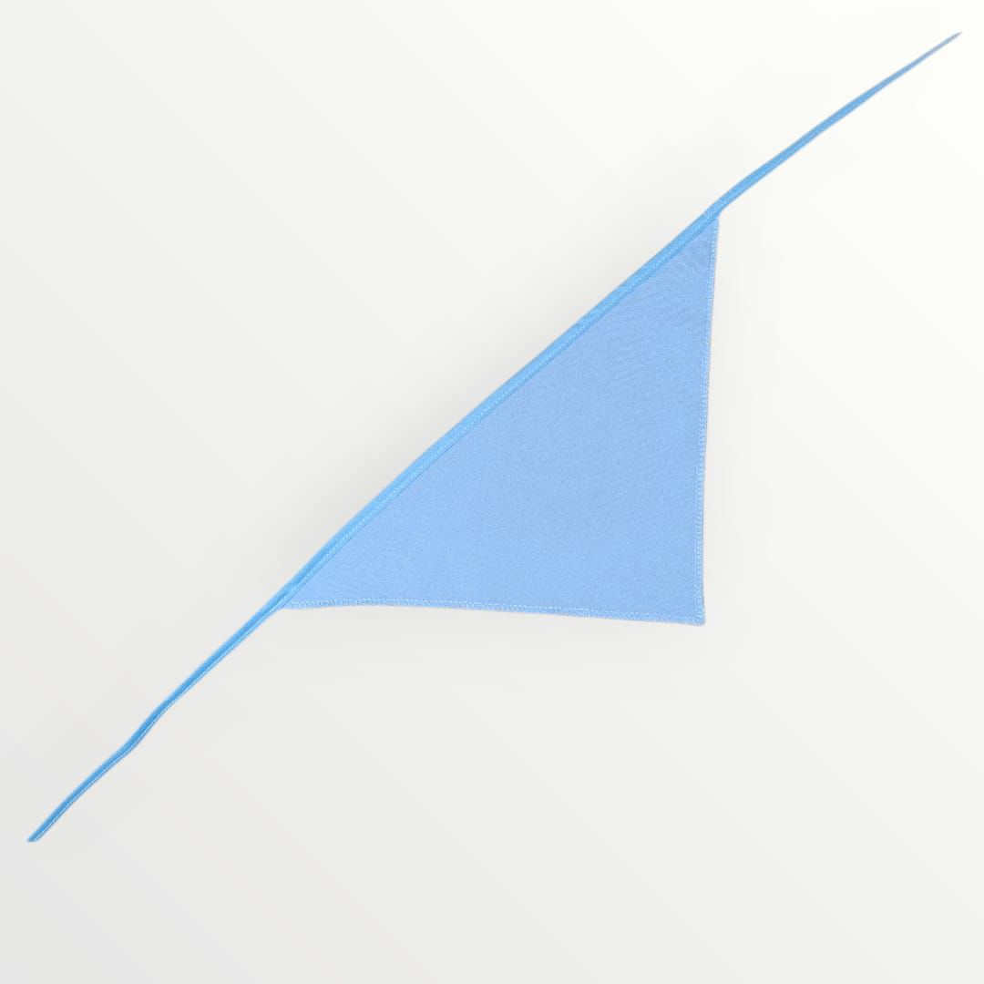 Bandana para Perro ó Gato - Anuncio de Embarazo - Big Brother