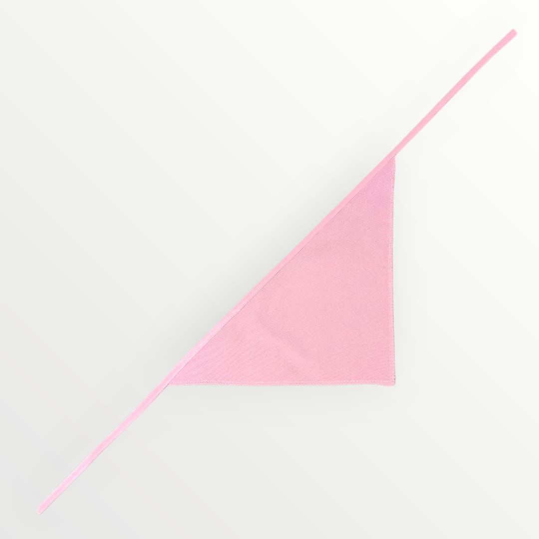 Bandana para Perro ó Gato - Anuncio de Embarazo - Big Sister ROSA PASTEL