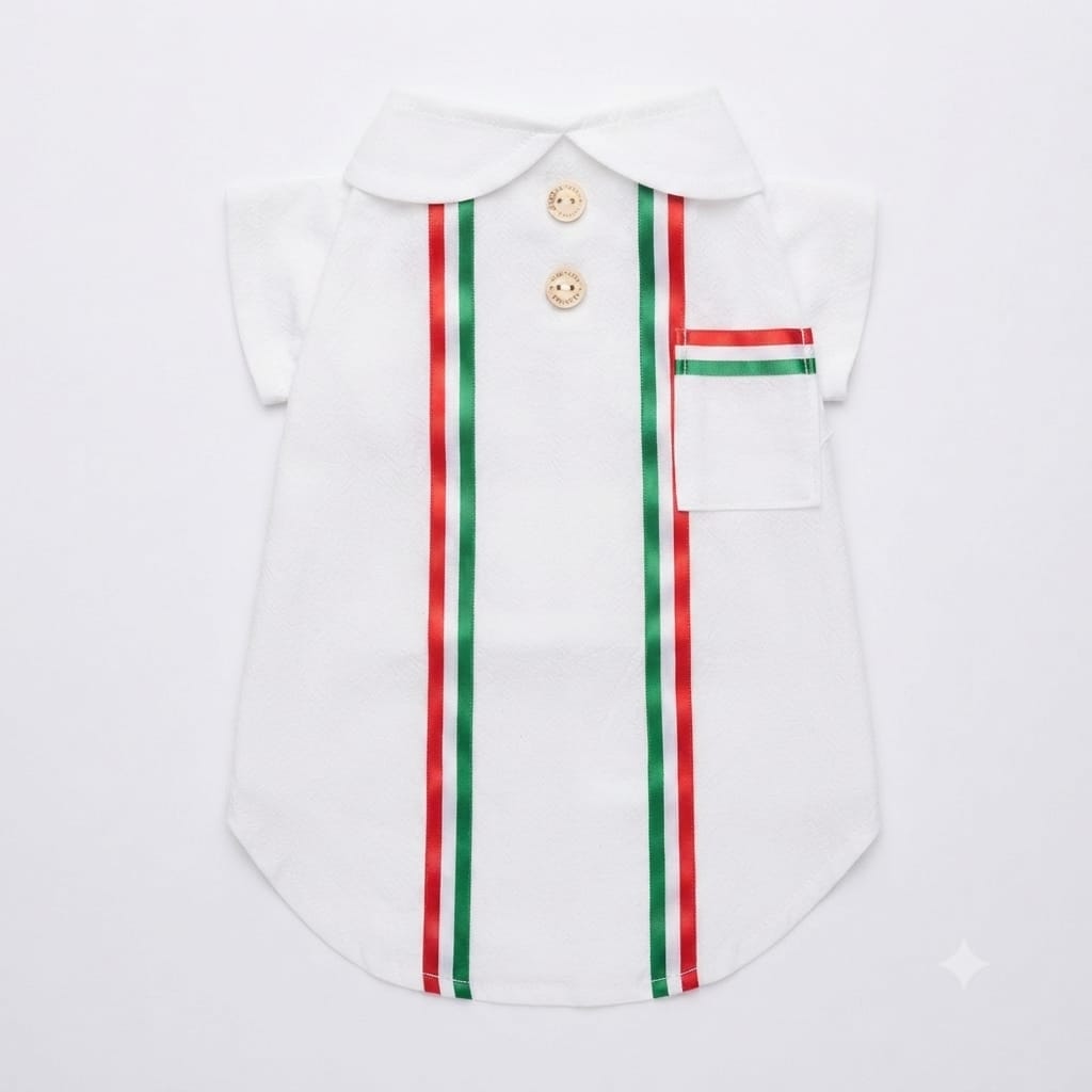 Guayabera tricolor mexicana