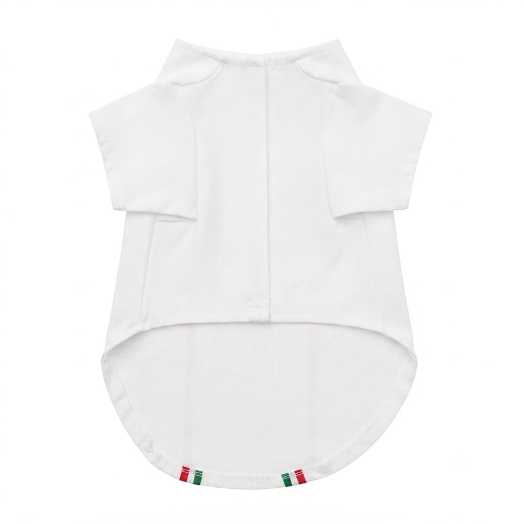Guayabera tricolor mexicana