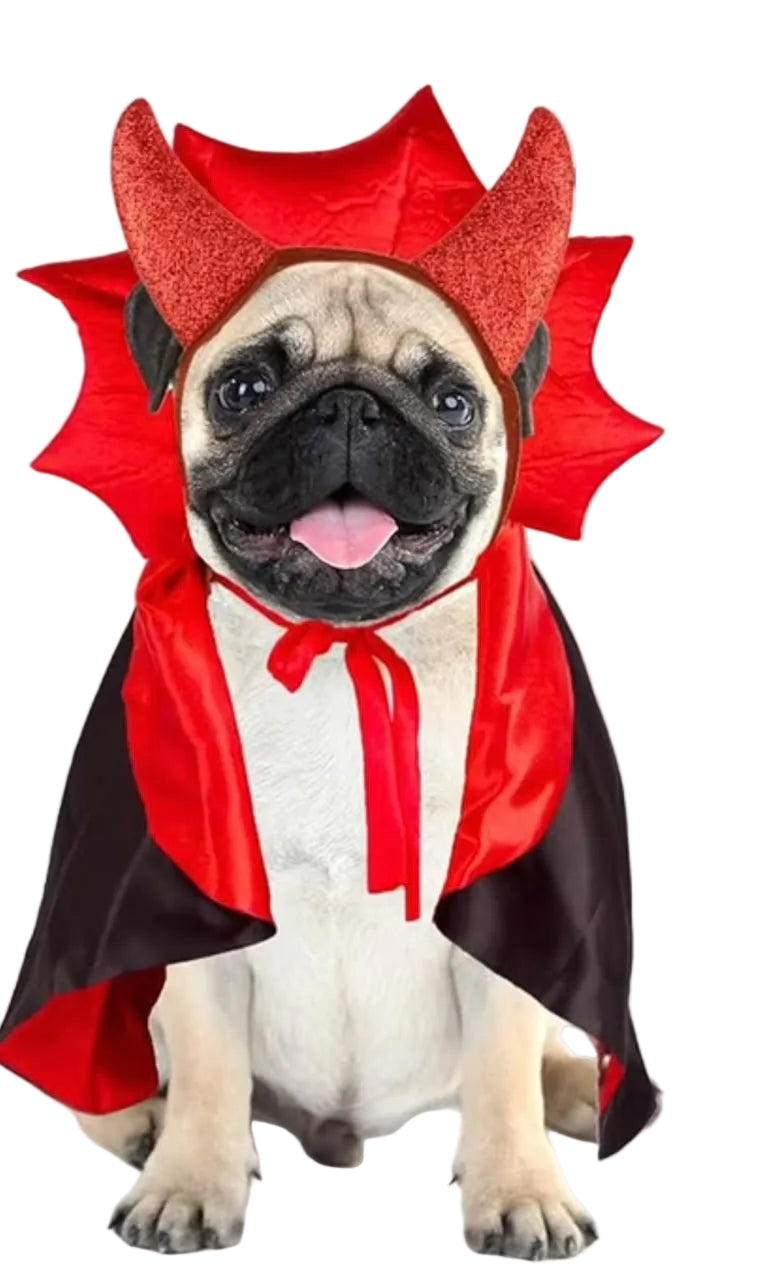 Disfraz de Diablito