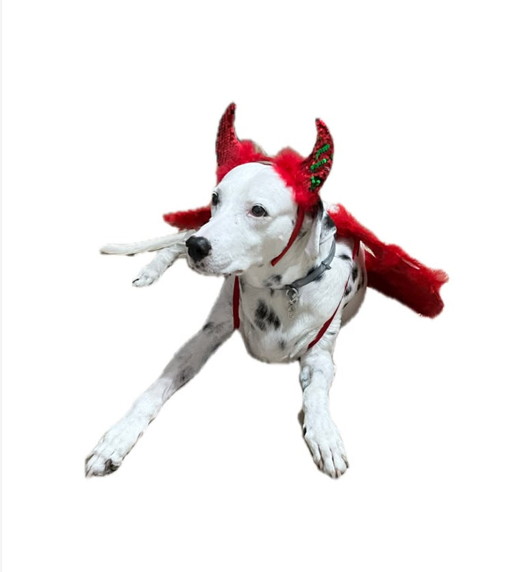 Disfraz de Diablito tallas extras