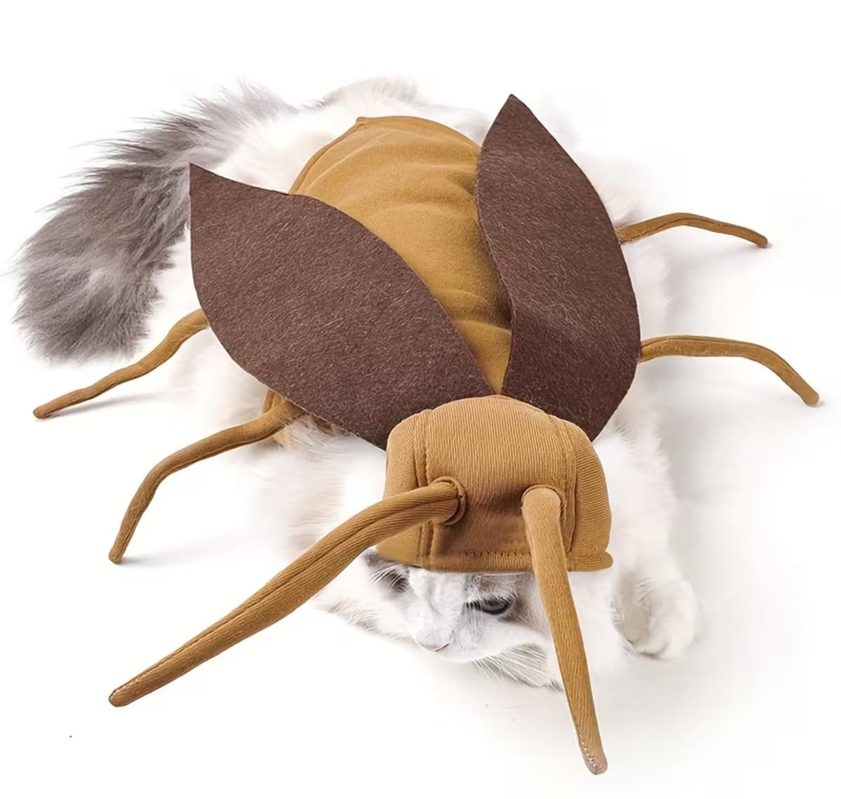 Disfraz de Cucaracha