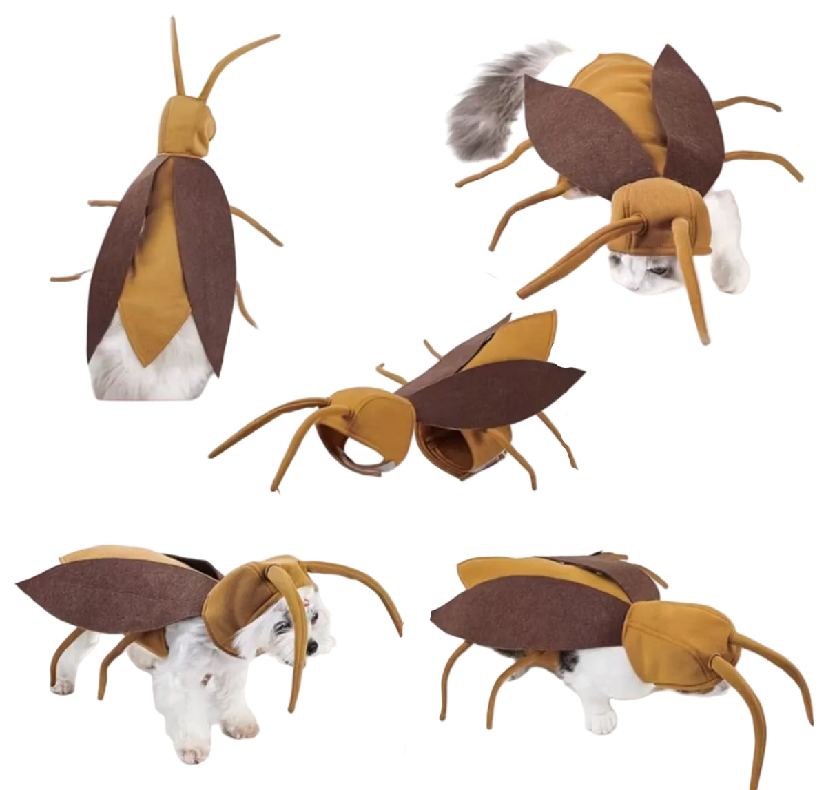 Disfraz de Cucaracha