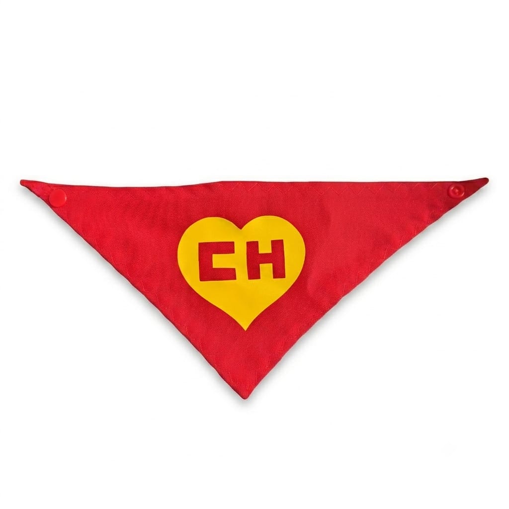 Accesorios de chapulín colorado