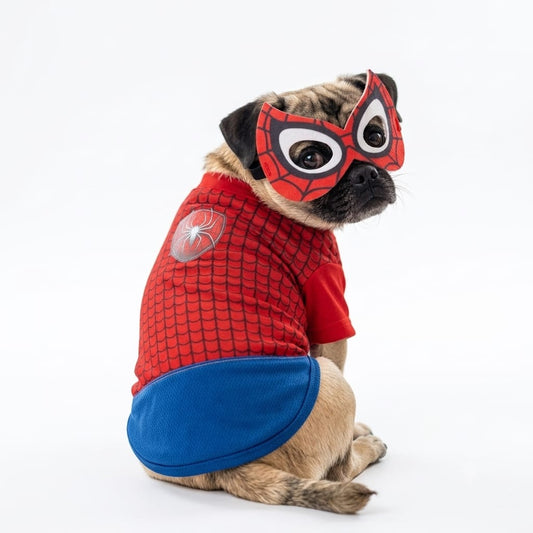 Disfraz de hombre araña