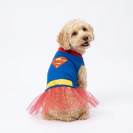 Disfraz de Super Girl