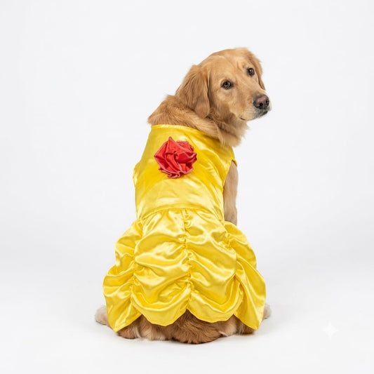 Disfraz princesa bella