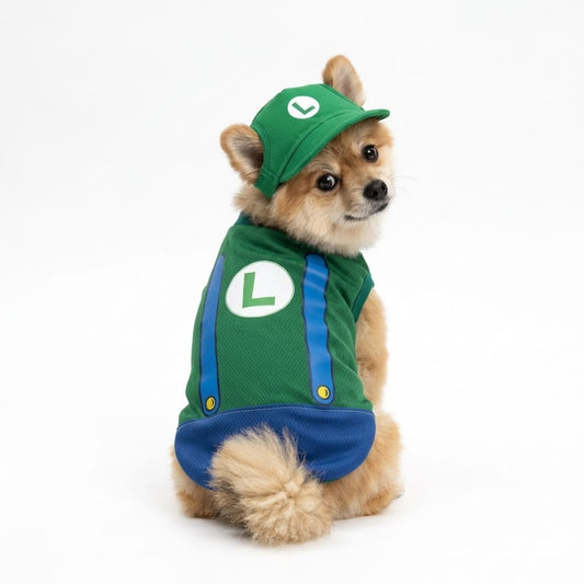 Disfraz de Luigi con gorra