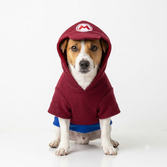 Suéter de Mario Bros