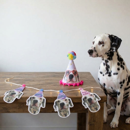 Banderín y Gorro de Cumpleaños Para Mascota