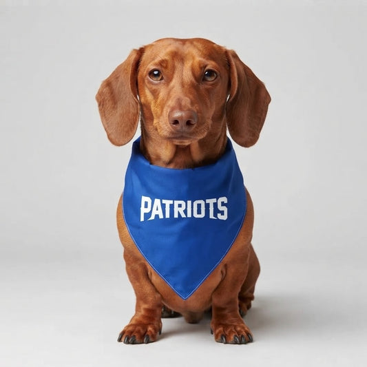 Bandana NFL Patriots