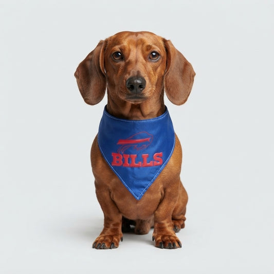 Bandana NFL Bills