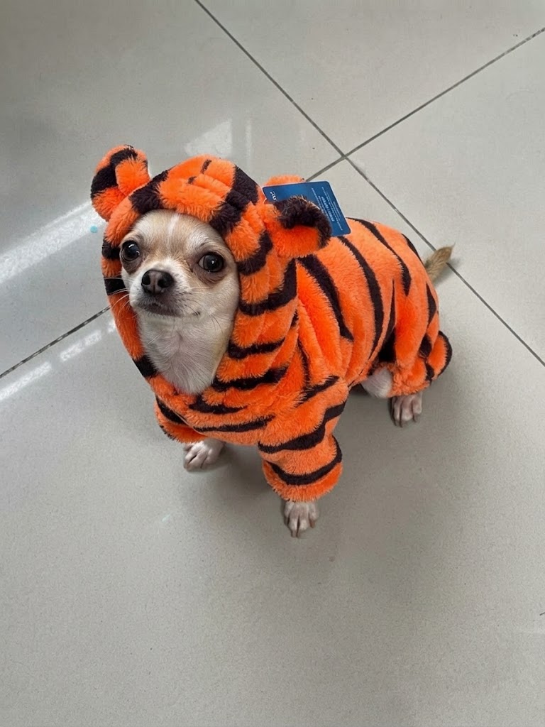 Pijama de tigre