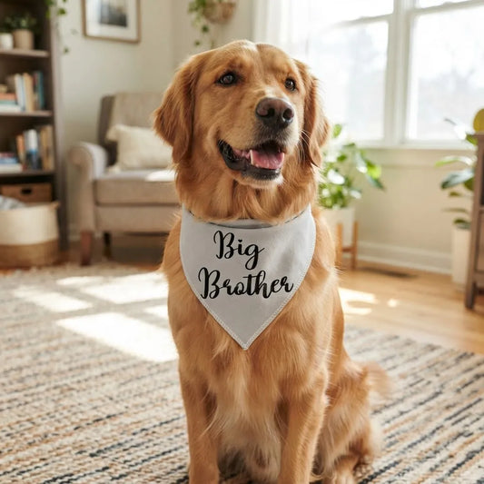 Bandana para Perro ó Gato - Anuncio de Embarazo - Big Brother BLANCO