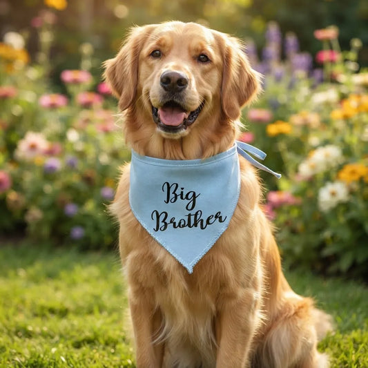 Bandana para Perro ó Gato - Anuncio de Embarazo - Big Brother CELESTE