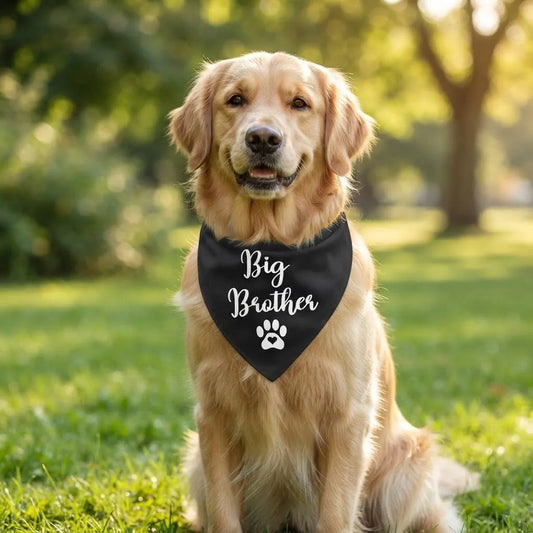 Bandana para Perro ó Gato - Anuncio de Embarazo - Big Brother NEGRO