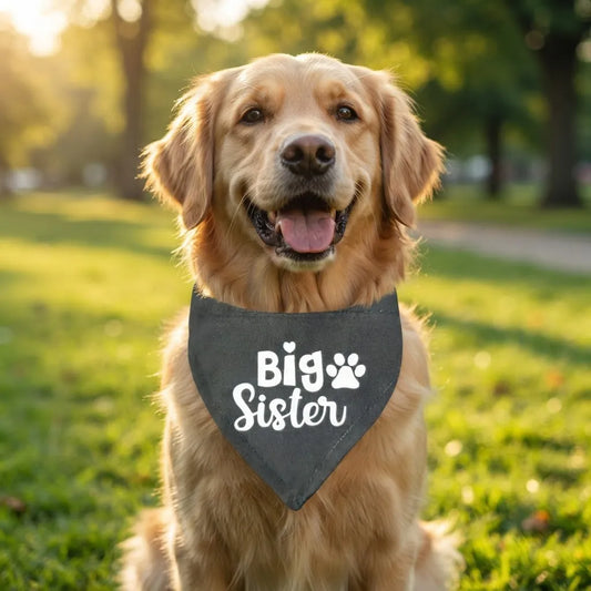 Bandana para Perro ó Gato - Anuncio de Embarazo - Big Sister NEGRO