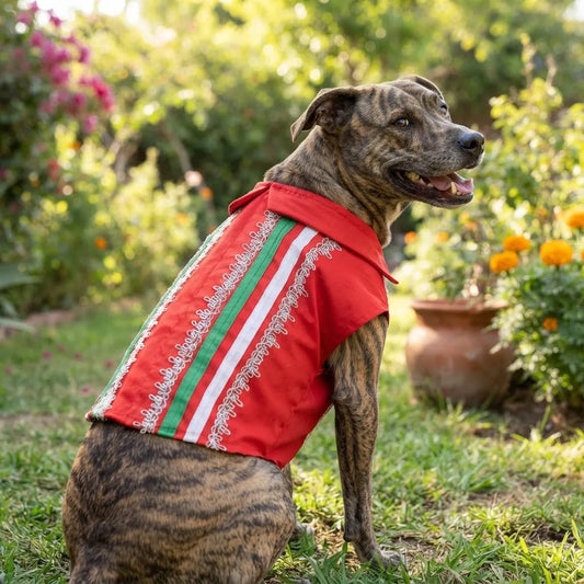 Camisa roja mexicana