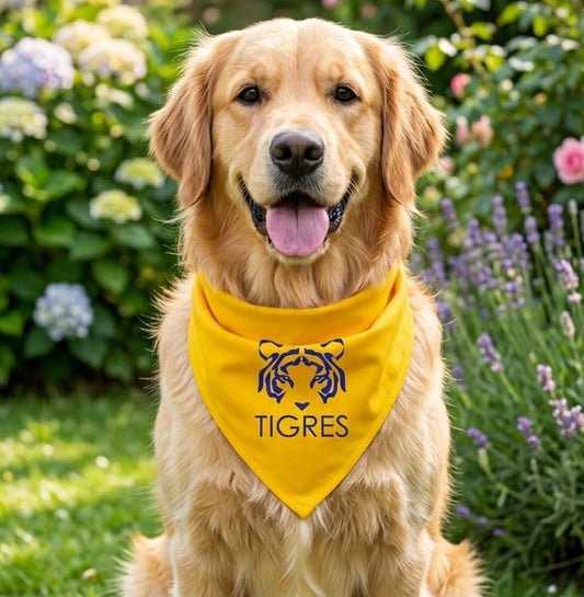 Paliacate de Tigres