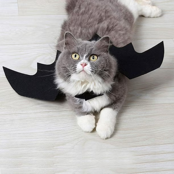 Disfraz de murciélago para gato