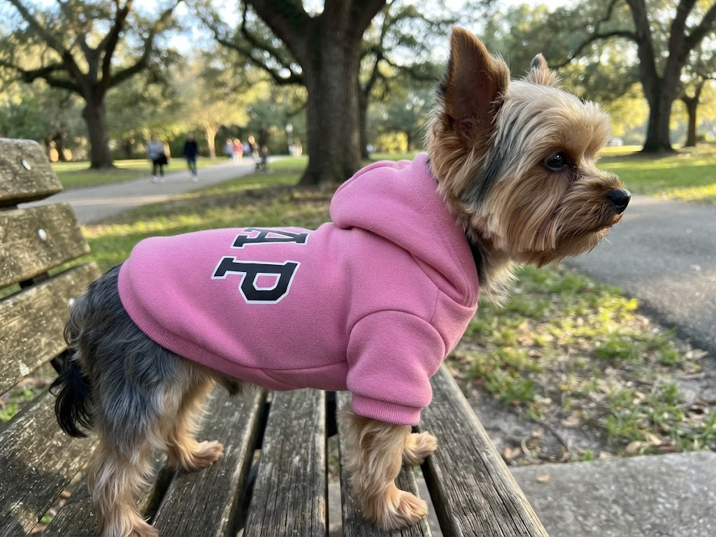 Sudadera Gap ROSA
