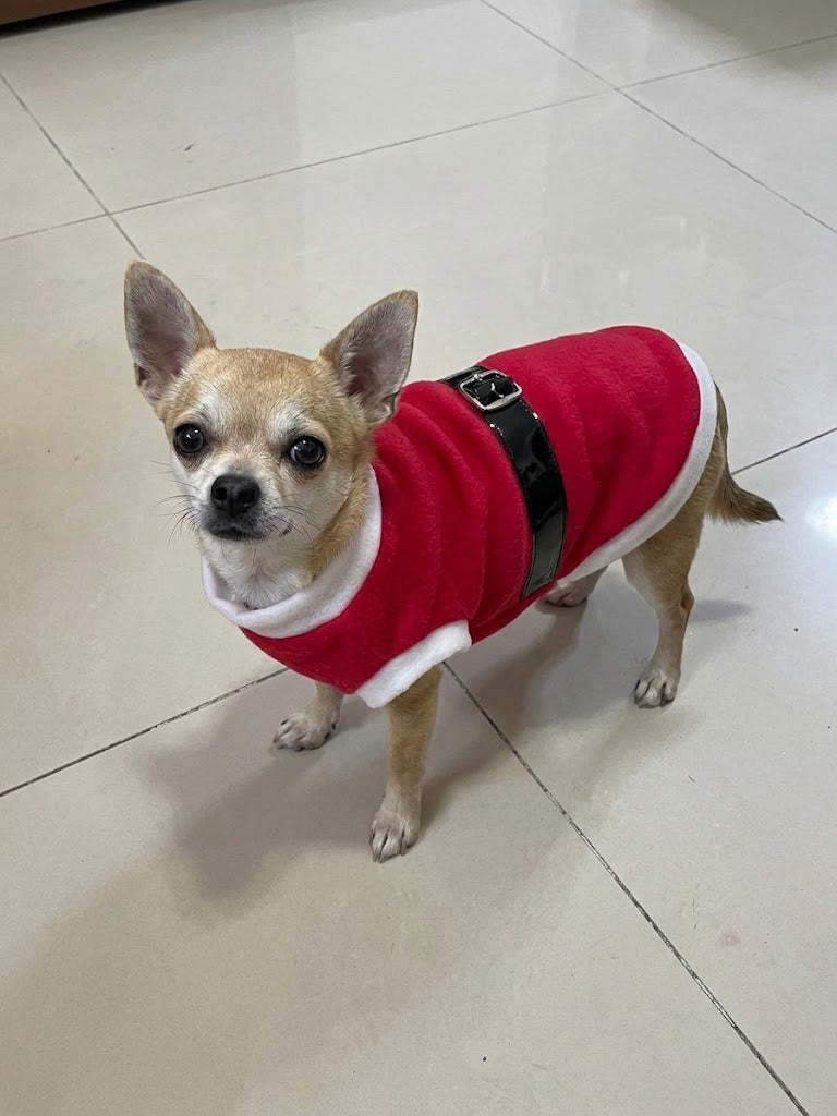 Polar Santa Claus Tallas mini