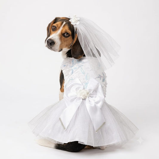 Vestido de novia para mascota