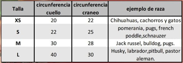 Disfraz Luchador mexicano