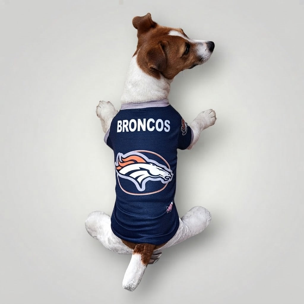 Jersey NFL Broncos